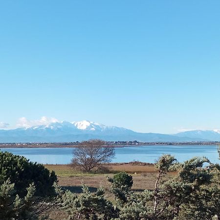 Le Capestang Daire Canet-en-Roussillon Dış mekan fotoğraf