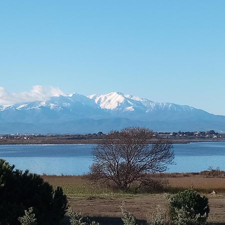 Le Capestang Daire Canet-en-Roussillon Dış mekan fotoğraf
