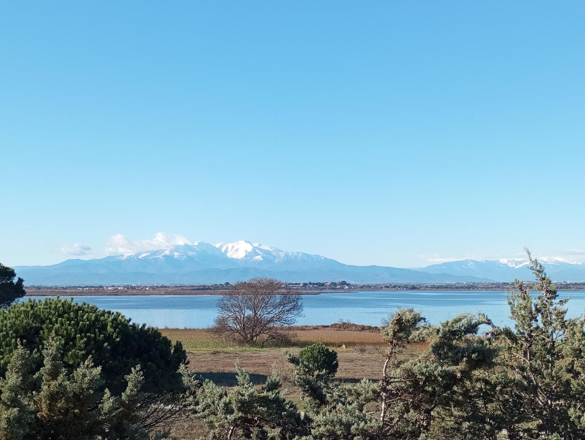Le Capestang Daire Canet-en-Roussillon Dış mekan fotoğraf